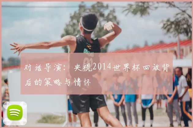 对话导演：央视2014世界杯回放背后的策略与情怀