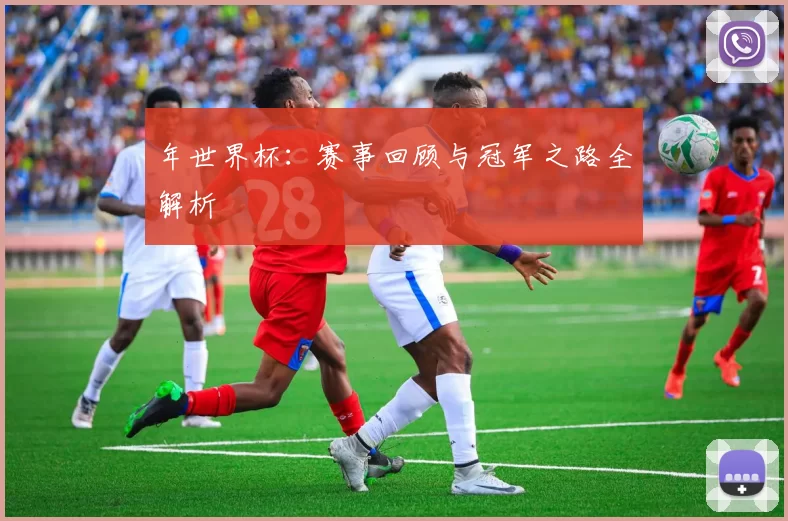 年世界杯：赛事回顾与冠军之路全解析
