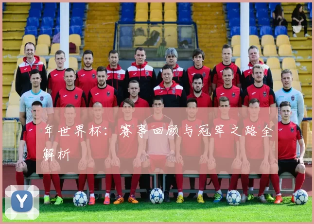 年世界杯：赛事回顾与冠军之路全解析