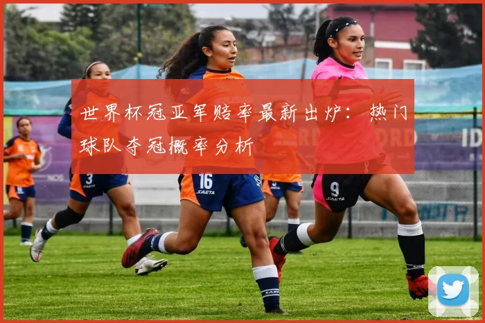 世界杯冠亚军赔率最新出炉：热门球队夺冠概率分析