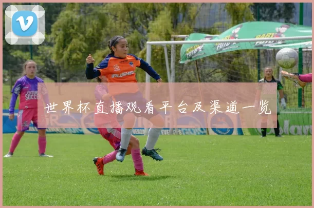 世界杯直播观看平台及渠道一览