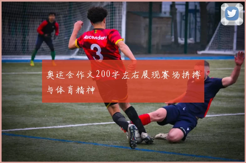 奥运会作文200字左右展现赛场拼搏与体育精神