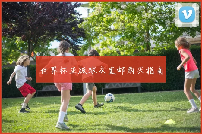 世界杯正版球衣直邮购买指南