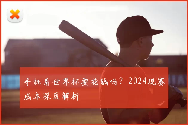 手机看世界杯要花钱吗?2024观赛成本深度解析