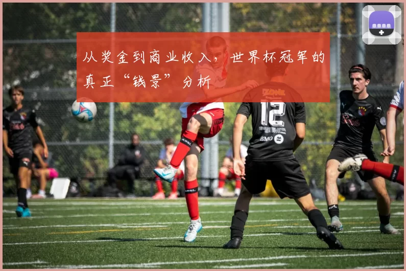 从奖金到商业收入，世界杯冠军的真正“钱景”分析