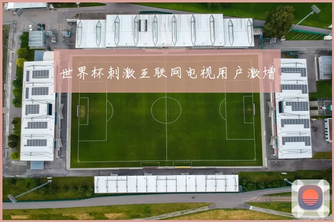 世界杯刺激互联网电视用户激增