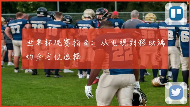 世界杯观赛指南:从电视到移动端的全方位选择