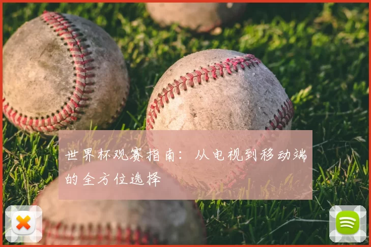 世界杯观赛指南：从电视到移动端的全方位选择