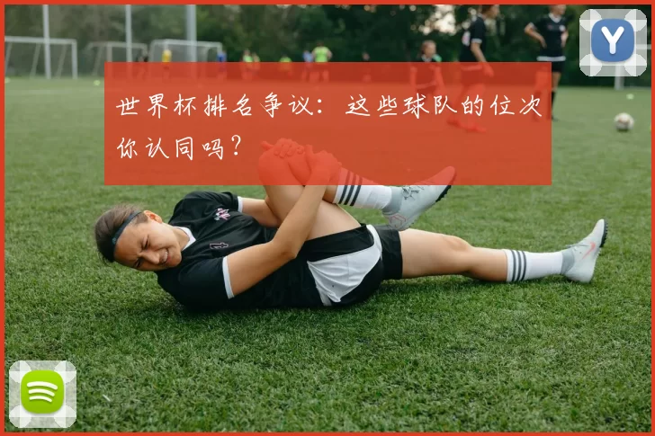 世界杯排名争议：这些球队的位次你认同吗？