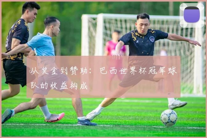 从奖金到赞助：巴西世界杯冠军球队的收益构成