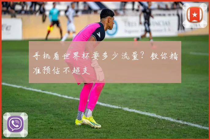 手机看世界杯要多少流量？教你精准预估不超支