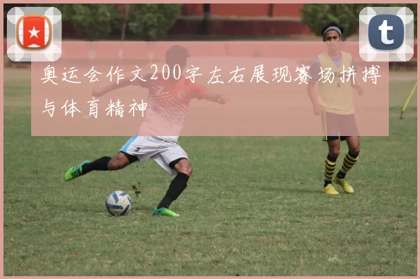 奥运会作文200字左右展现赛场拼搏与体育精神