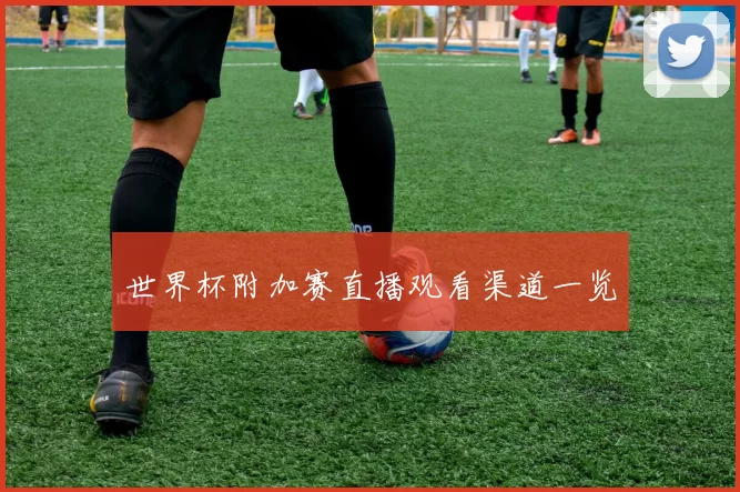 世界杯附加赛直播观看渠道一览