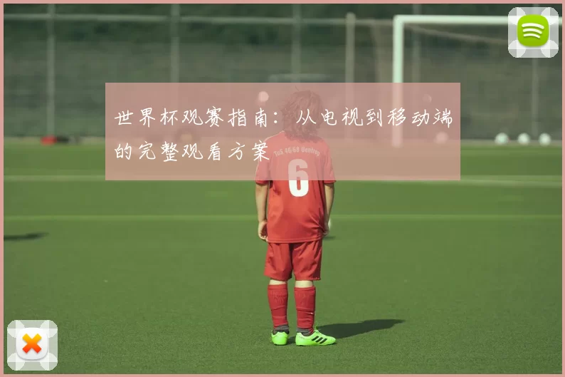 世界杯观赛指南:从电视到移动端的完整观看方案